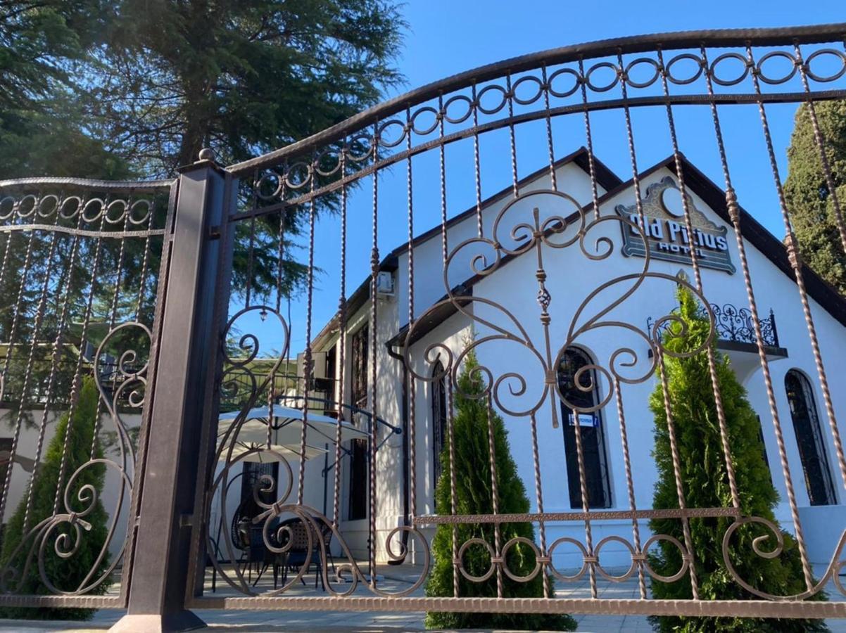 Hotel Old Pitius Піцунда Екстер'єр фото